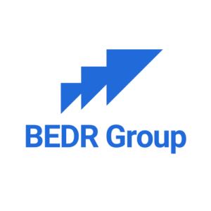 BEDR Group s.r.o. - Global NetSuite Consultancy and Development Services Logo